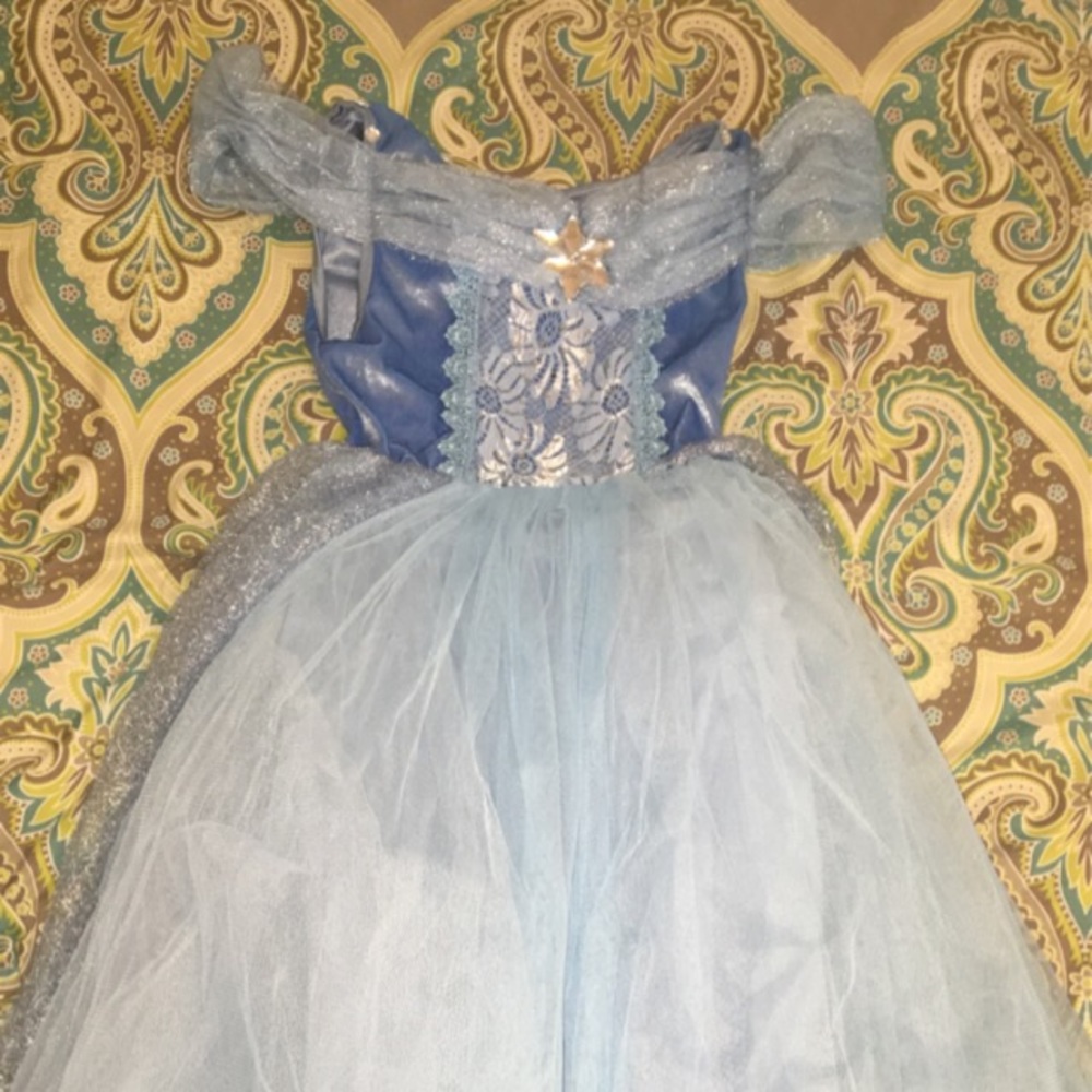 Blue Princess Gown